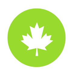 Small light green maple leaf